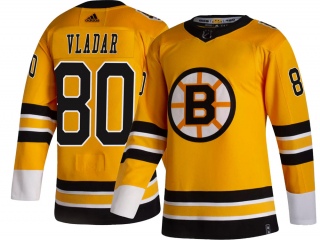 Men's Daniel Vladar Boston Bruins Adidas 2020/21 Special Edition Jersey - Breakaway Gold