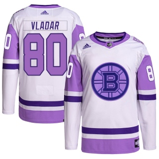 Men's Daniel Vladar Boston Bruins Adidas Hockey Fights Cancer Primegreen Jersey - Authentic White/Purple