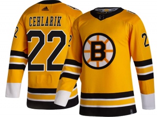 Men's Peter Cehlarik Boston Bruins Adidas 2020/21 Special Edition Jersey - Breakaway Gold