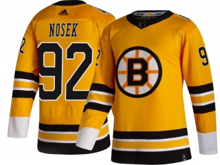 Youth Tomas Nosek Boston Bruins Adidas 2020/21 Special Edition Jersey - Breakaway Gold